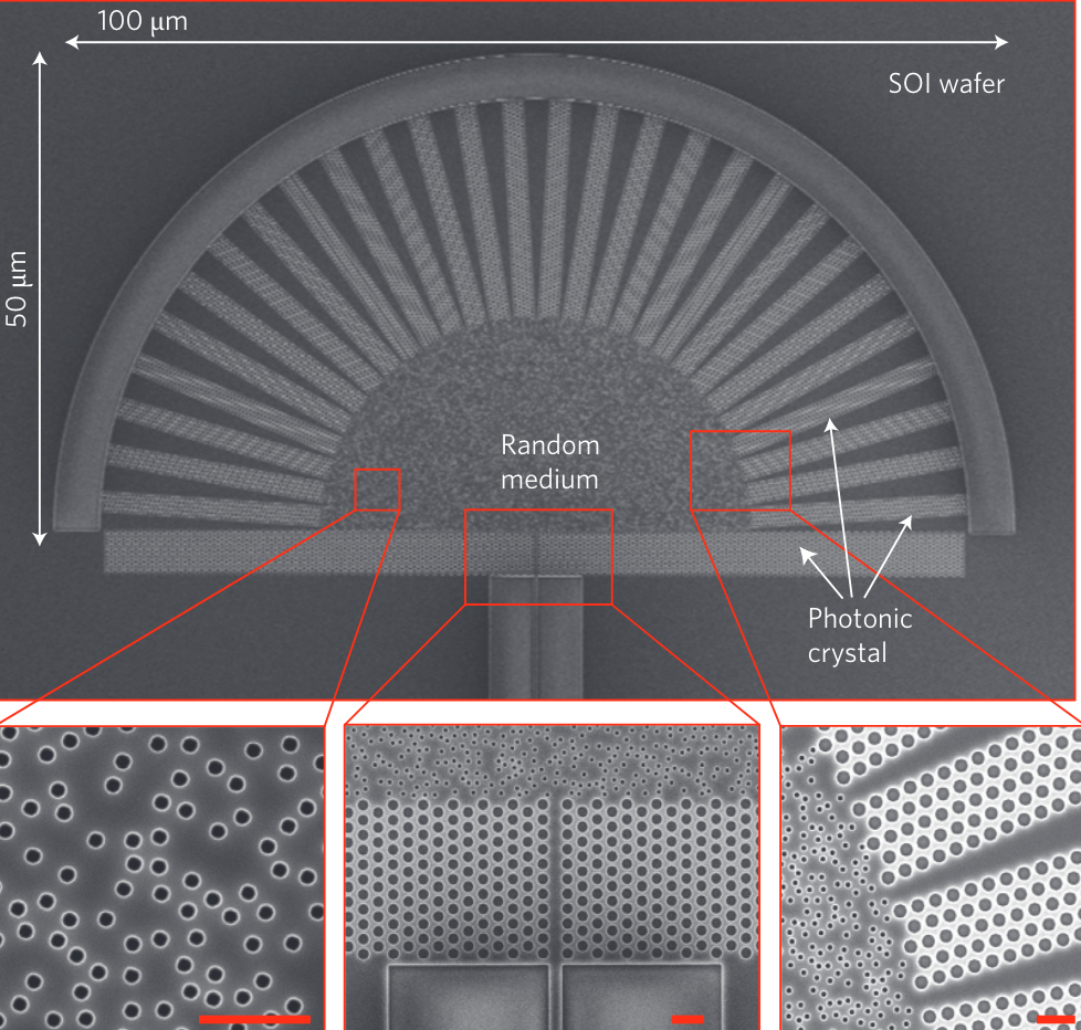 SEM image of random spectrometers